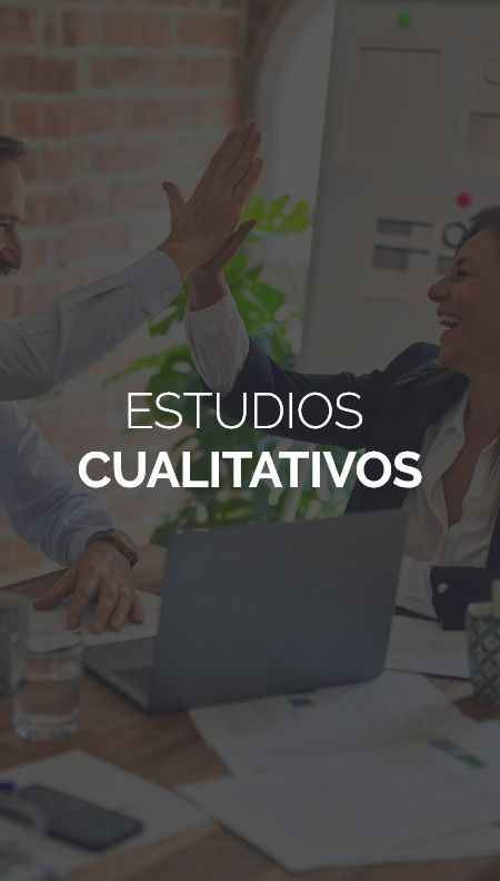 ESTUDIOS CUALITATIVOS